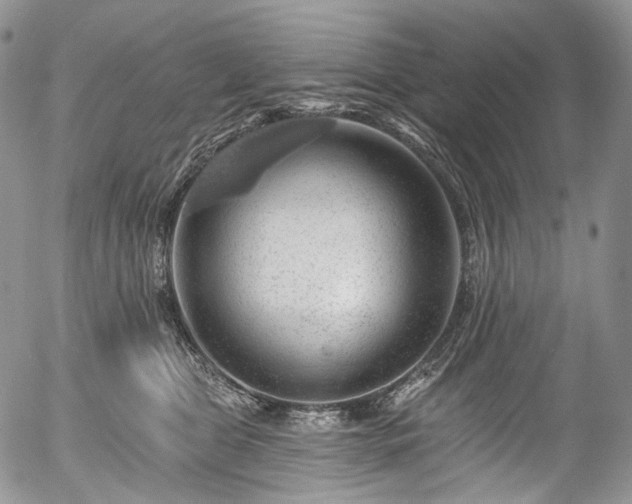 X0000057570469200509191446