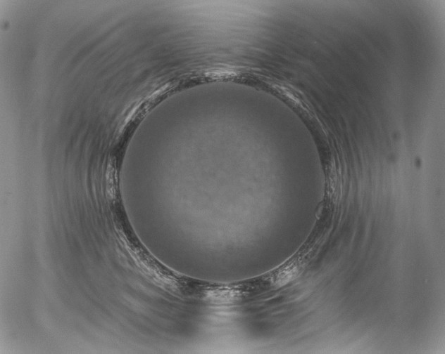 X0000057570470200509191446