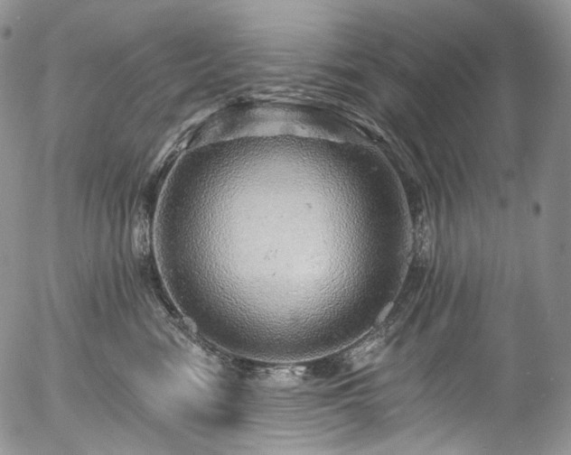 X0000057570474200509191446