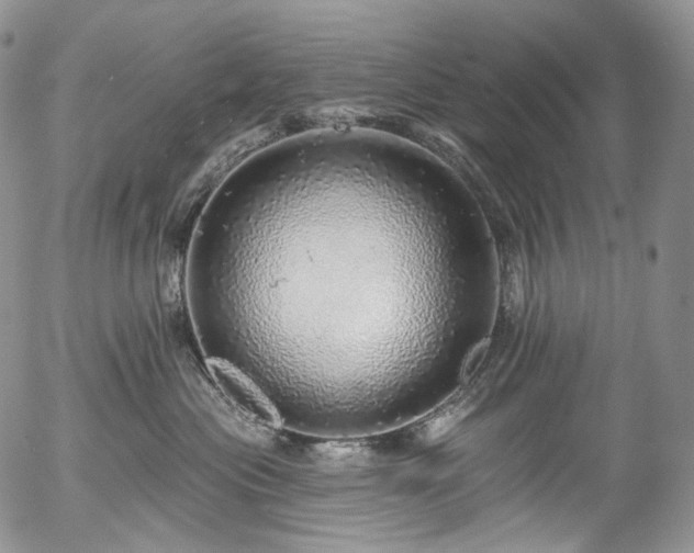 X0000057570477200509191446