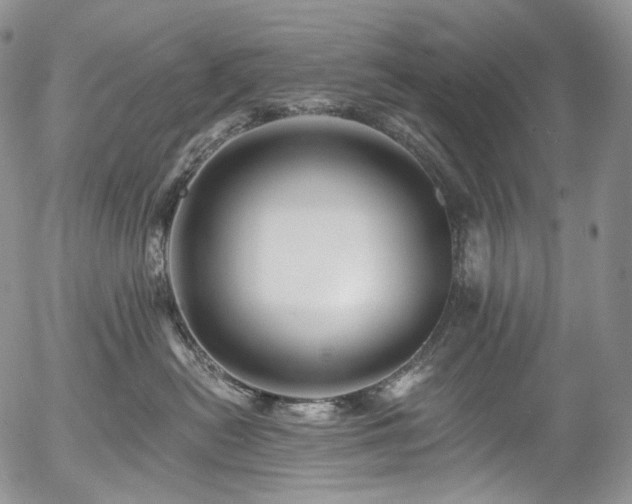 X0000057570478200509191446