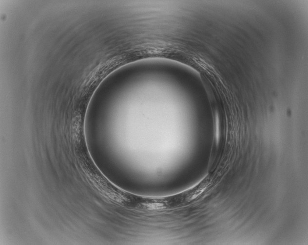 X0000057570509200509191445