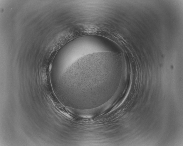 X0000057570516200509191445