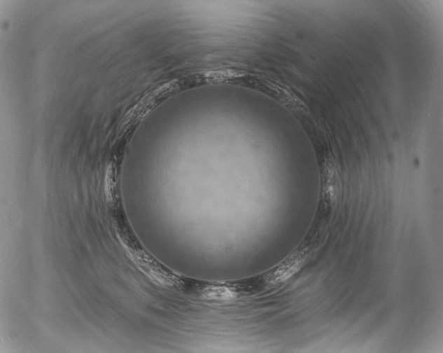 X0000057570519200509191445