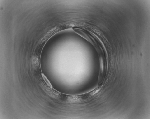 X0000057570521200509191445