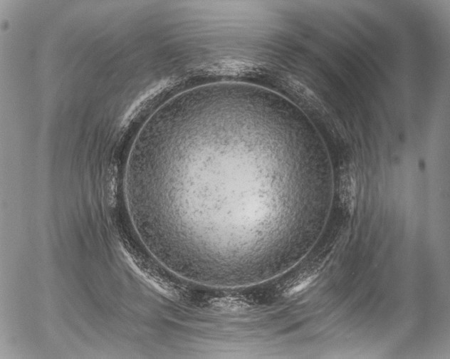 X0000057570544200509191444