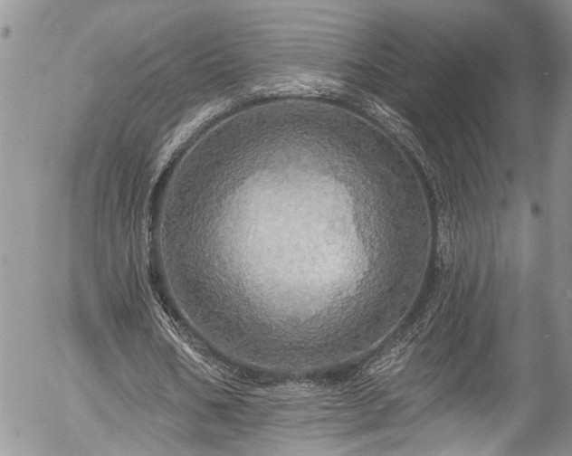 X0000057570578200509191444