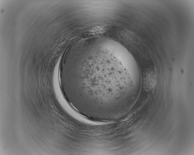 X0000057570608200509191443