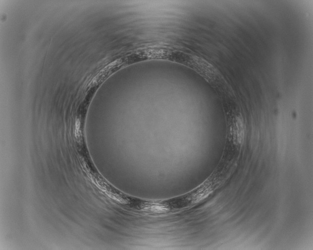 X0000057570610200509191443