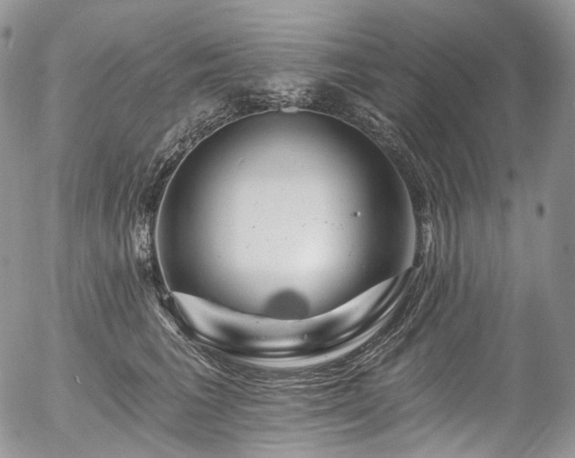 X0000057570613200509191443