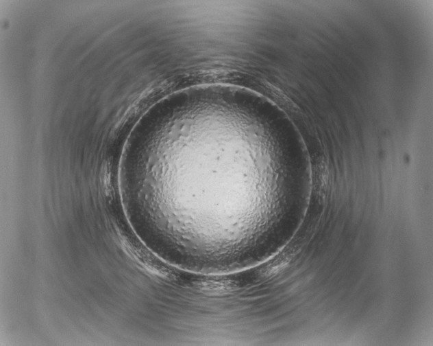 X0000057570615200509191443