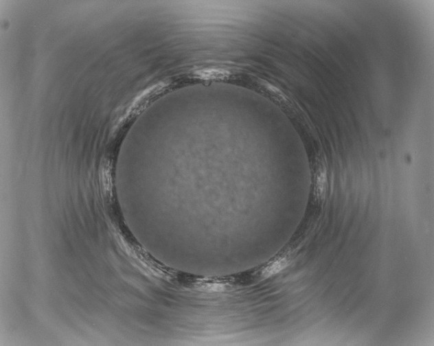 X0000057570620200509191443