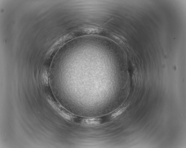 X0000057570622200509191443