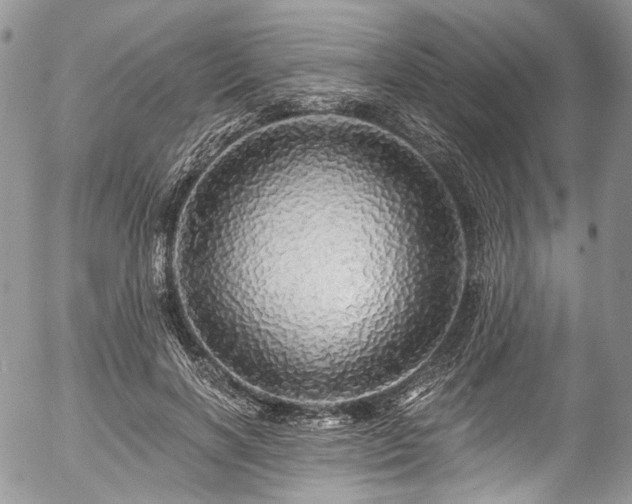 X0000057570646200509191442