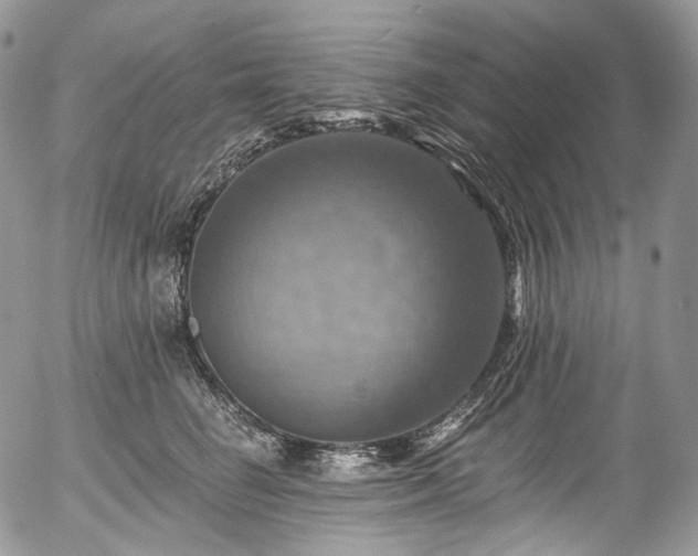 X0000057570662200509191443