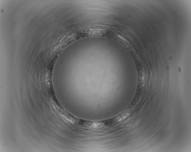 X0000057570663200509191443