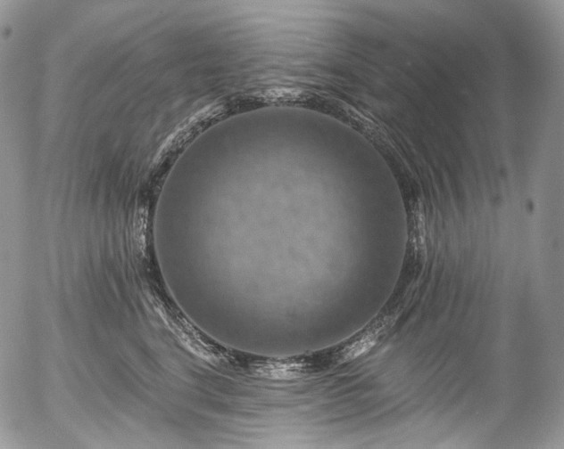 X0000057570664200509191443