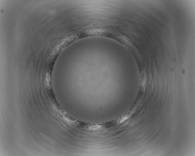X0000057570669200509191443