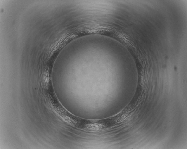 X0000057570691200509191442