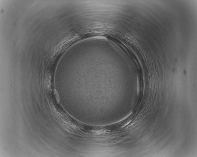 X0000057570693200509191442