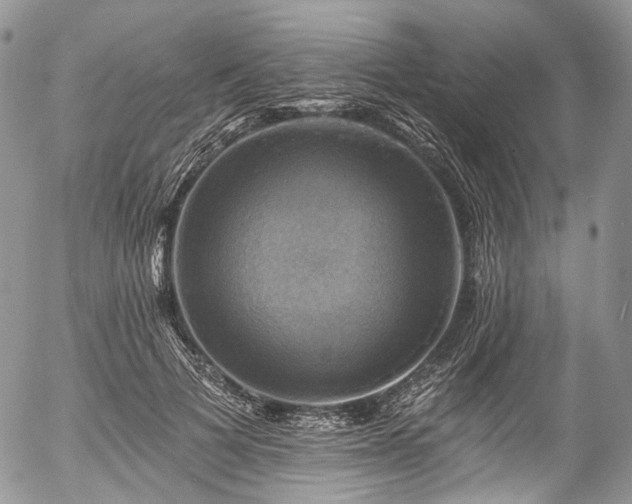 X0000057570697200509191442