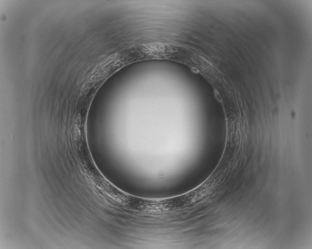 X0000057570702200509191442