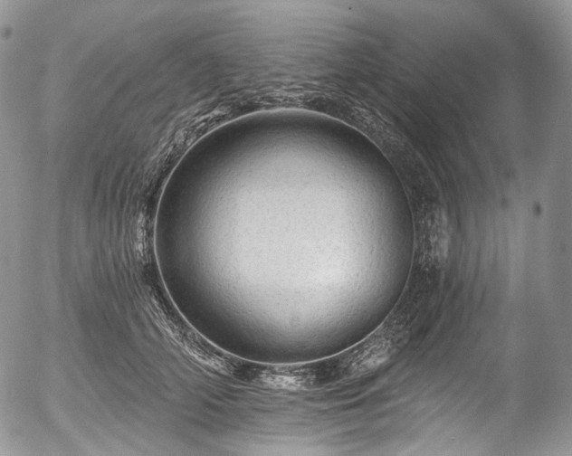 X0000057570706200509191442