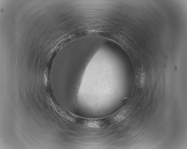 X0000057570710200509191441