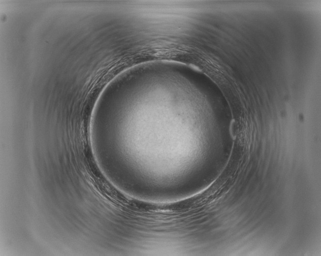 X0000057570748200509191441