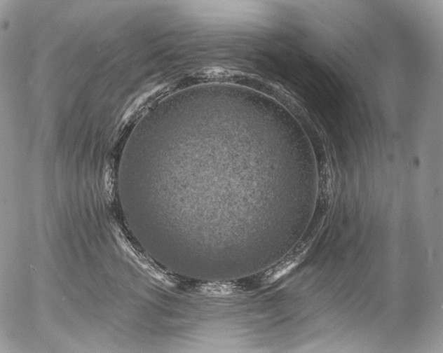 X0000057570762200509191441