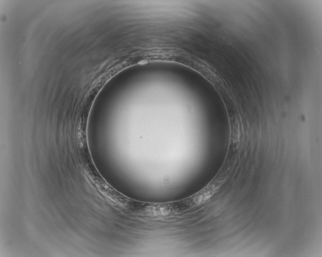 X0000057570764200509191441
