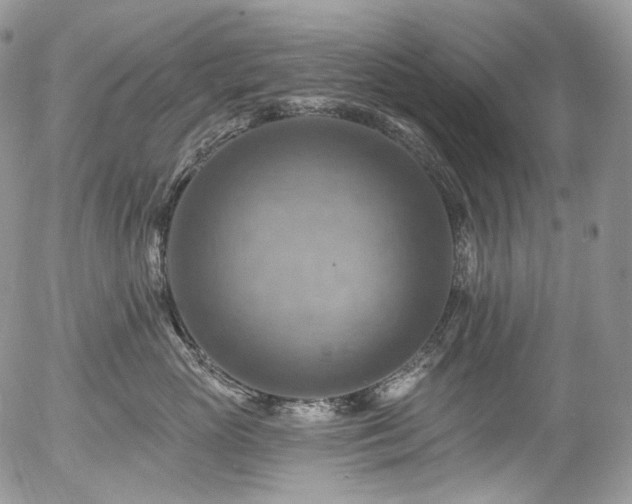 X0000057570765200509191441
