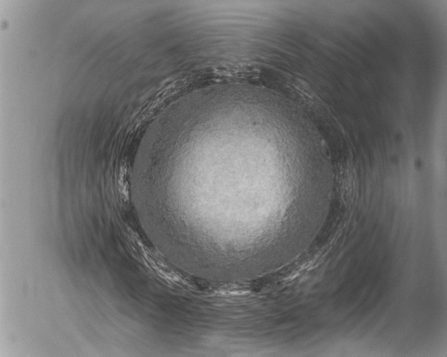 X0000057570770200509191440