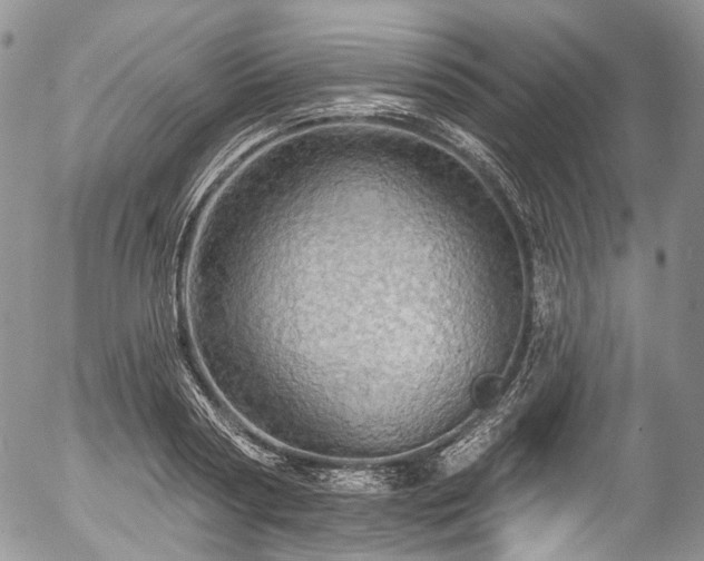 X0000057570794200509191440
