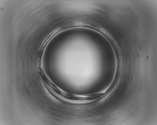 X0000057570801200509191440