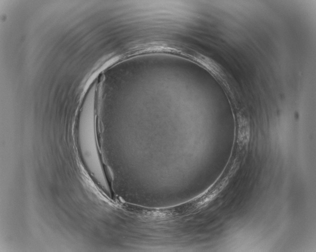 X0000057570806200509191440