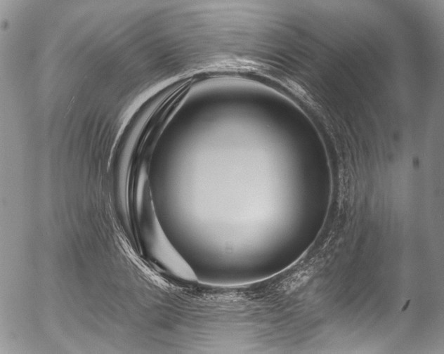 X0000057570838200509191439