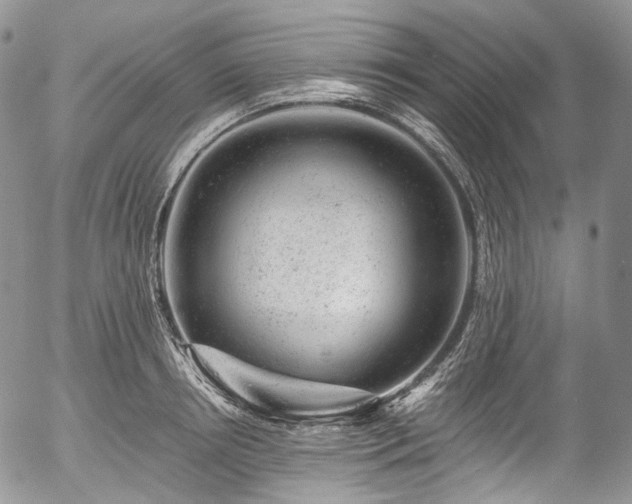 X0000057570850200509191439