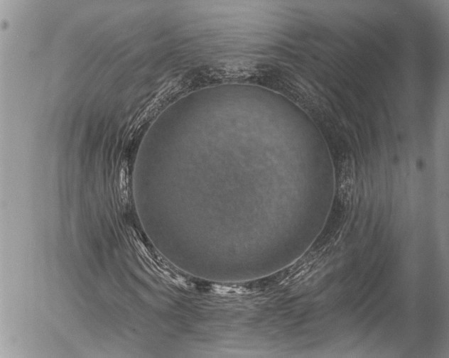 X0000057570866200509191439