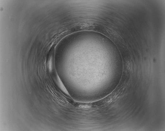 X0000057570914200509191437