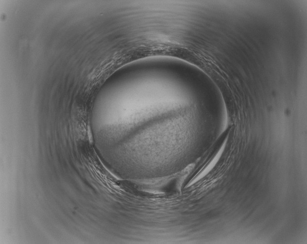 X0000057570916200509191437