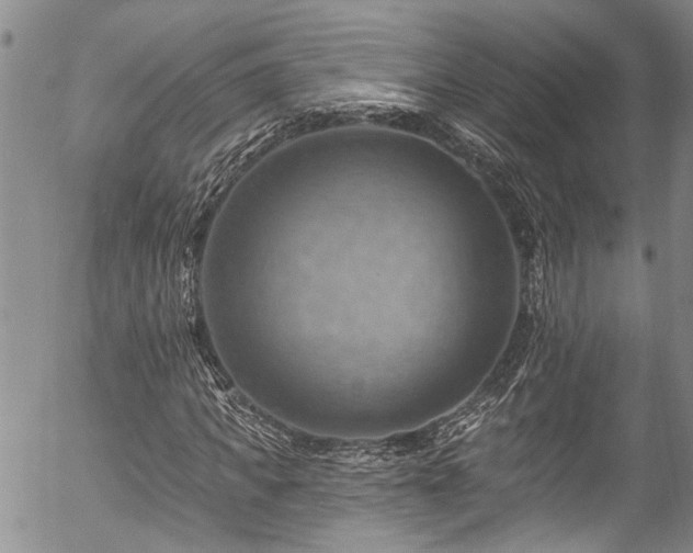 X0000057570917200509191437