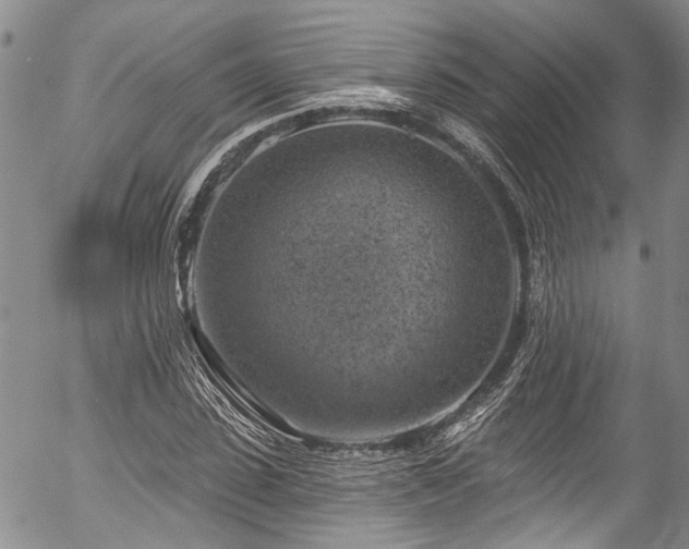 X0000057570923200509191437