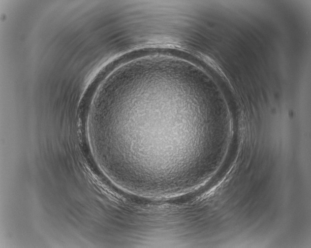 X0000057570926200509191437