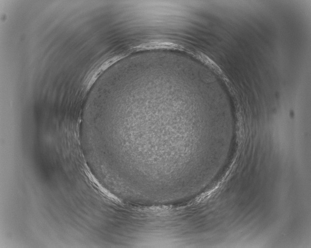 X0000057570937200509191438