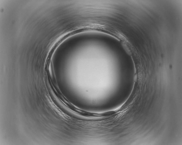 X0000057570940200509191438