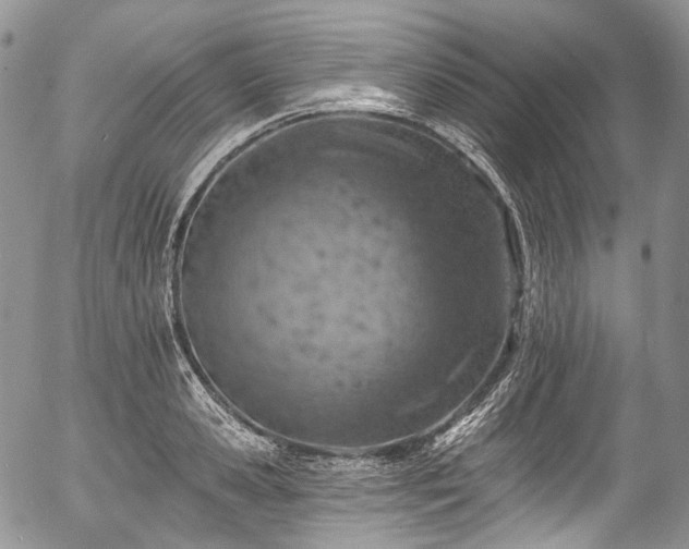 X0000057570941200509191438