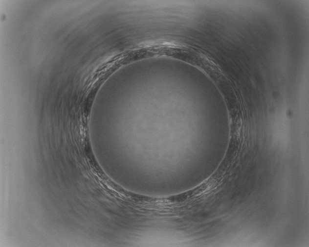 X0000057570966200509191437