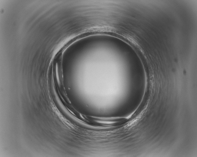 X0000057570981200509191437