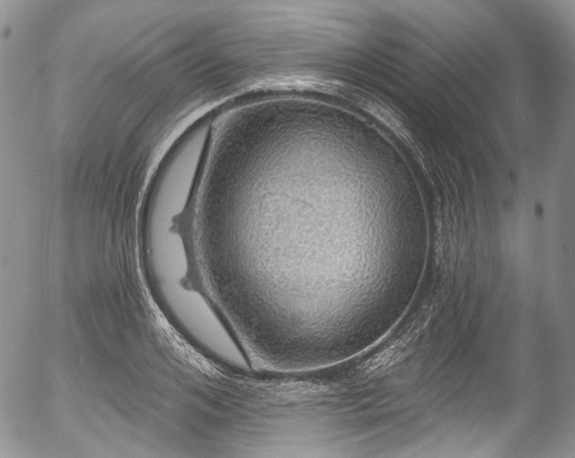 X0000057570984200509191437